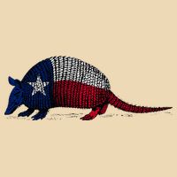 Armadillo Texas Flag Bag