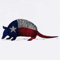 Armadillo Texas Flag Cooling Performance Crew T-Shirt
