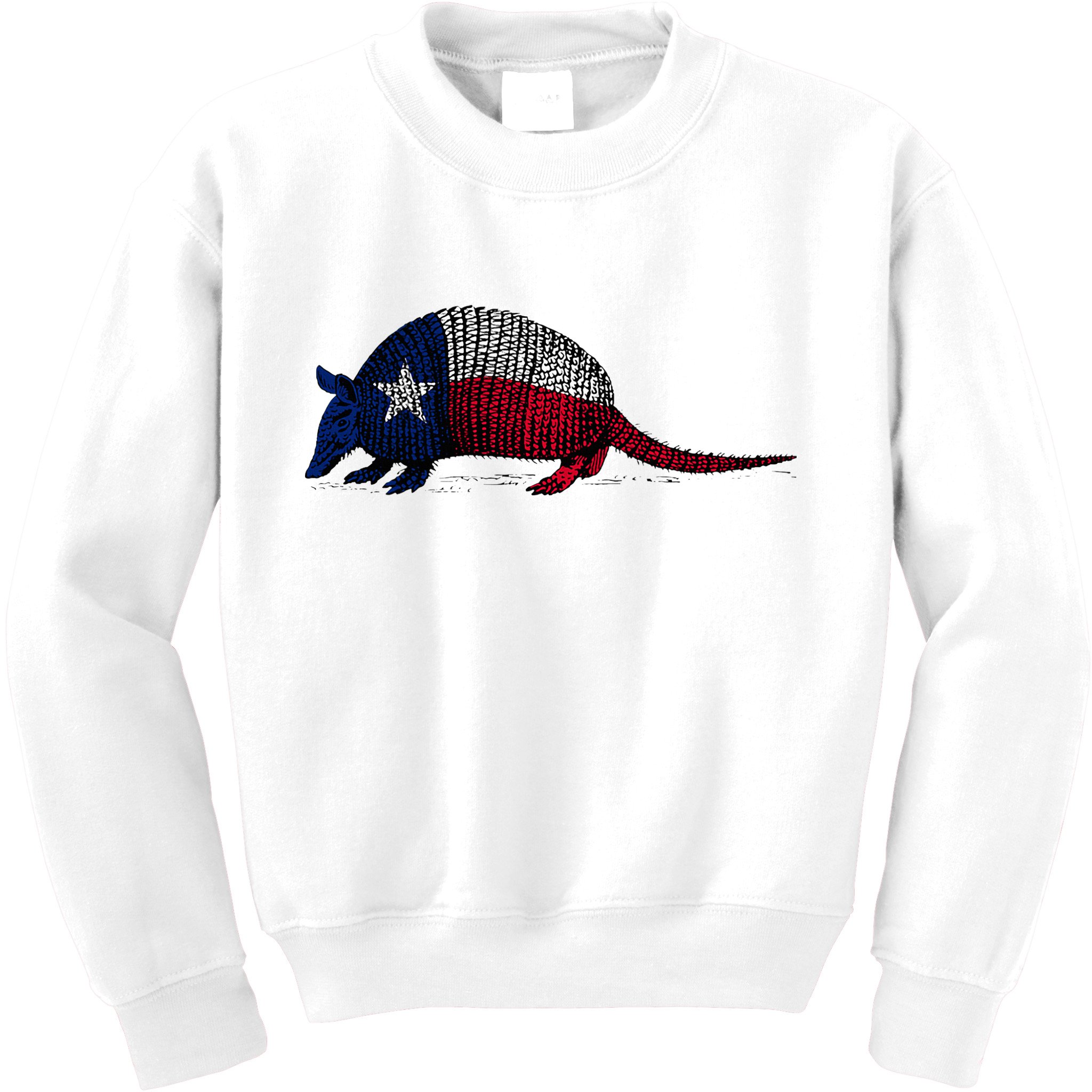 Armadillo Texas Flag Kids Sweatshirt