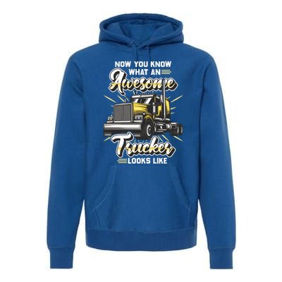 Awesome Trucker Gift Semi Truck Driver Big Rig Truckers Gift Premium Hoodie