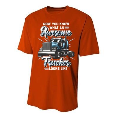 Awesome Trucker Gift Semi Truck Driver Big Rig Truckers Cute Gift Performance Sprint T-Shirt