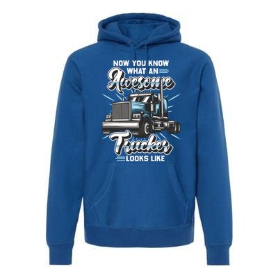 Awesome Trucker Gift Semi Truck Driver Big Rig Truckers Cute Gift Premium Hoodie