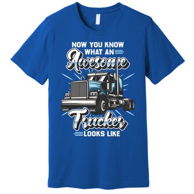 Awesome Trucker Gift Semi Truck Driver Big Rig Truckers Cute Gift Premium T-Shirt