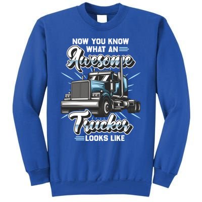 Awesome Trucker Gift Semi Truck Driver Big Rig Truckers Cute Gift Tall Sweatshirt