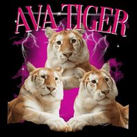 Ava The Golden Tiger Of Chiang Mai Cute Big Orange Cat Impact Tech Backpack
