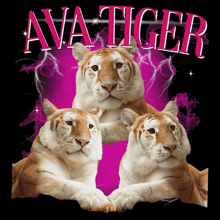 Ava The Golden Tiger Of Chiang Mai Cute Big Orange Cat Impact Tech Backpack