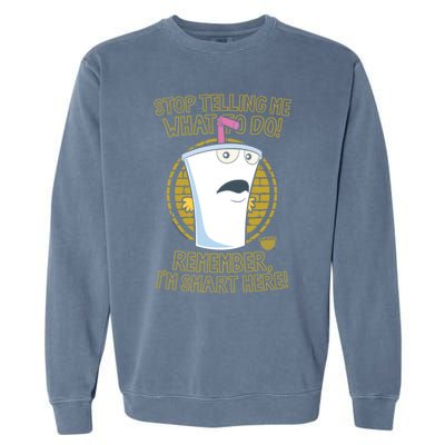 Aqua Teen Hunger Force Stop Cool Gift Garment-Dyed Sweatshirt