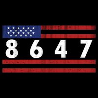 Anti Trump Impeach 47 8647 47th President US Flag 16 in Basic Backpack