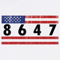 Anti Trump Impeach 47 8647 47th President US Flag Hoodie