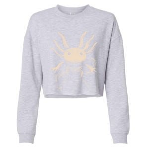 Axolotl: There Is No Planet B Gift Climate Change Is Real! Gift Cropped Pullover Crew