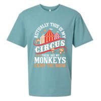 Actually This Is My Circus These Are Monkeys Monkey Lover Sueded Cloud Jersey T-Shirt