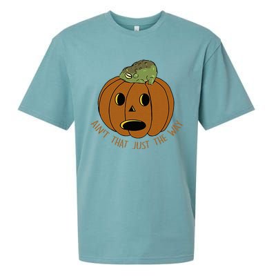 AinT That Just The Way Retro Style Pumpkin Sueded Cloud Jersey T-Shirt