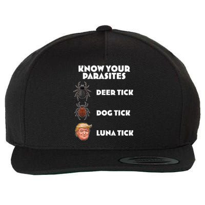 Anti Trump Know Your Parasites Lunatic Wool Snapback Cap