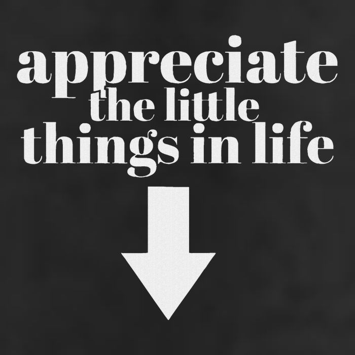 Appreciate The Little Things In Life Arrow Funny Adult Joke 11oz C Handle Ceramic Mug