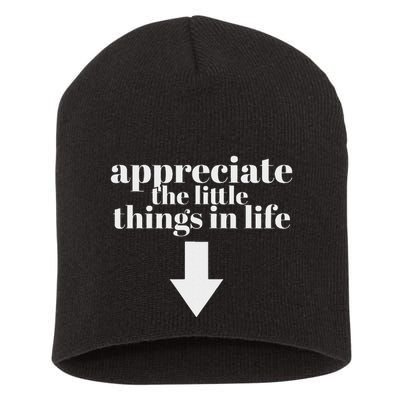 Appreciate The Little Things In Life Arrow Funny Adult Joke Short Acrylic Beanie