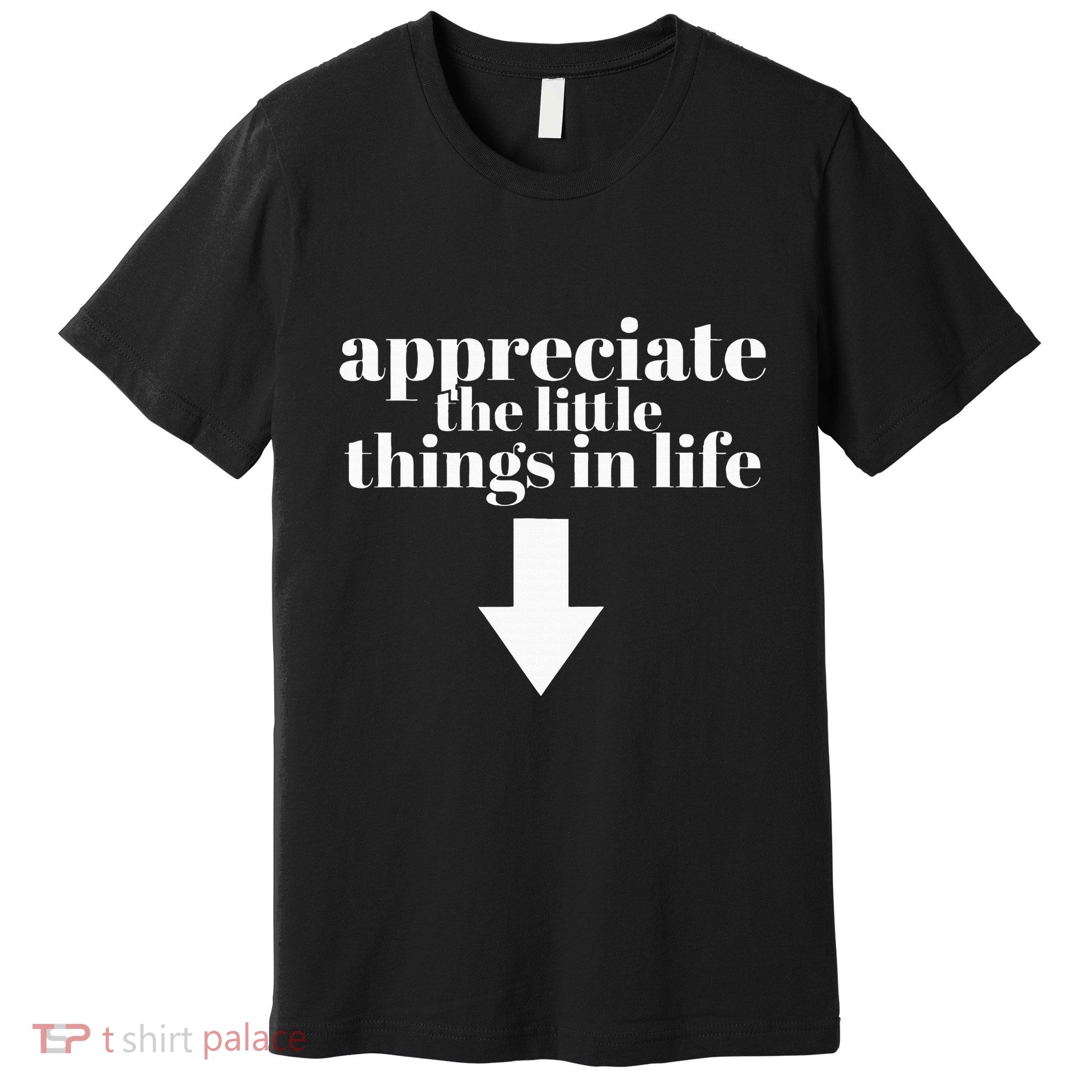 Appreciate The Little Things In Life Arrow Funny Adult Joke Premium T-Shirt
