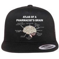 Atlas of A Pharmacist's Brain Flat Bill Trucker Hat