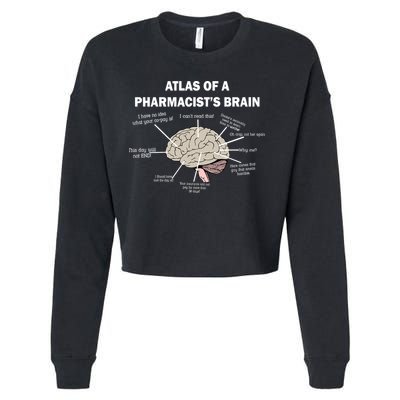 Atlas of A Pharmacist's Brain Cropped Pullover Crew