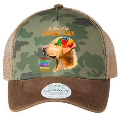 Atlas of The Labrador Retriever Brain Legacy Tie Dye Trucker Hat