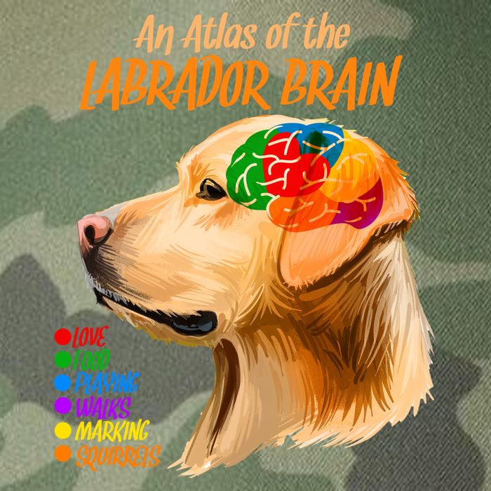 Atlas of The Labrador Retriever Brain Legacy Tie Dye Trucker Hat