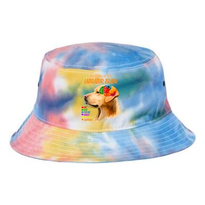 Atlas of The Labrador Retriever Brain Tie Dye Newport Bucket Hat