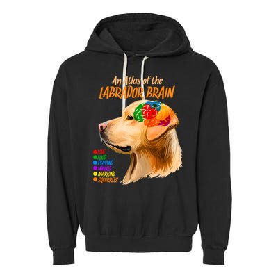 Atlas of The Labrador Retriever Brain Garment-Dyed Fleece Hoodie