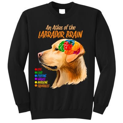 Atlas of The Labrador Retriever Brain Sweatshirt