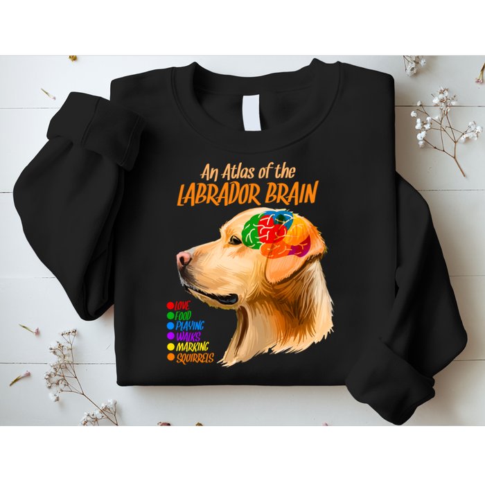 Atlas of The Labrador Retriever Brain Sweatshirt