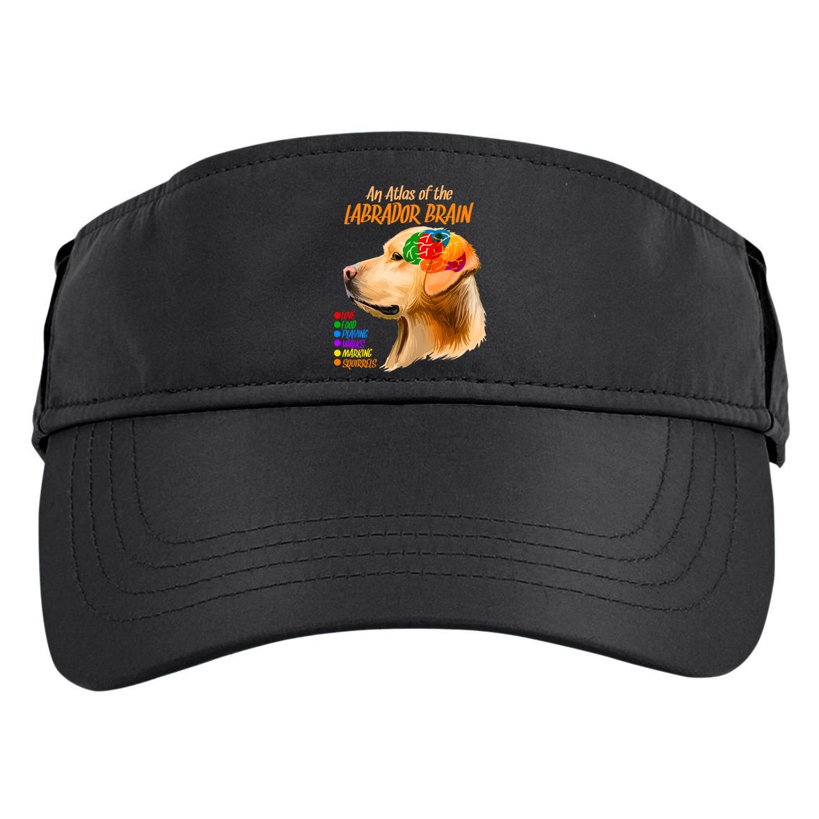 Atlas of The Labrador Retriever Brain Adult Drive Performance Visor