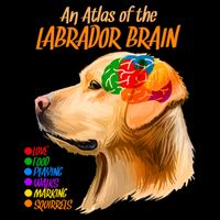 Atlas of The Labrador Retriever Brain Drawstring Bag