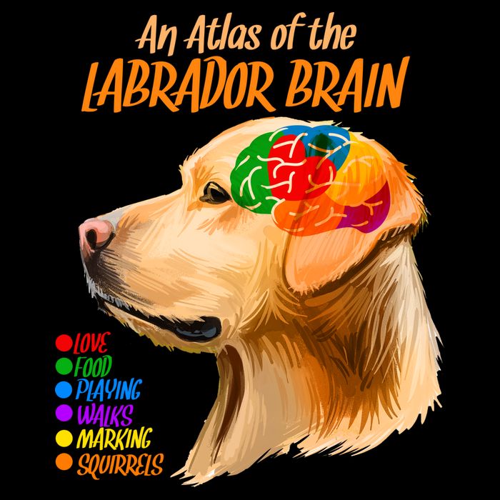 Atlas of The Labrador Retriever Brain Drawstring Bag
