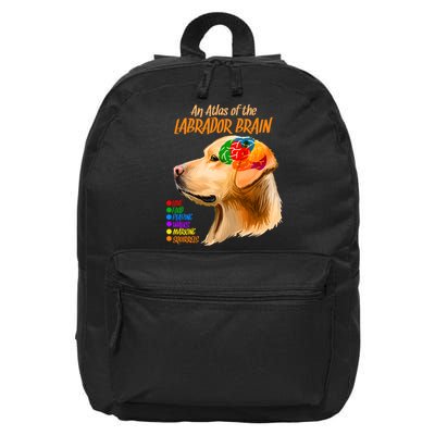 Atlas of The Labrador Retriever Brain 16 in Basic Backpack