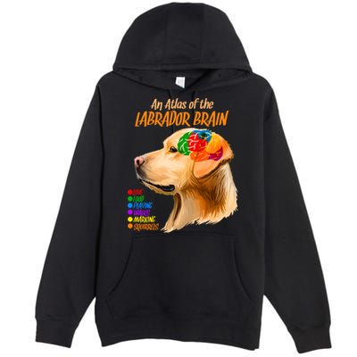 Atlas of The Labrador Retriever Brain Premium Pullover Hoodie