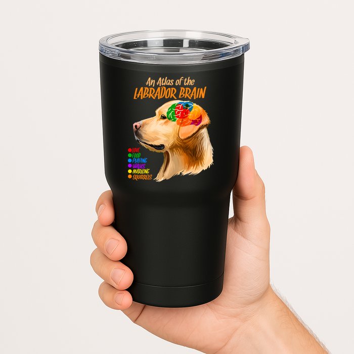 Atlas of The Labrador Retriever Brain Tumbler