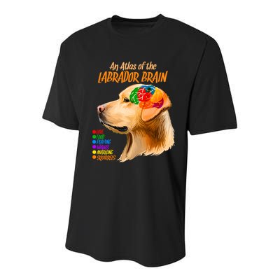 Atlas of The Labrador Retriever Brain Youth Performance Sprint T-Shirt