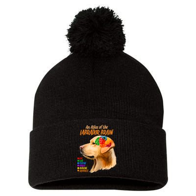 Atlas of The Labrador Retriever Brain Pom Pom 12in Knit Beanie