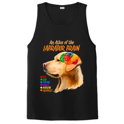 Atlas of The Labrador Retriever Brain PosiCharge Competitor Tank