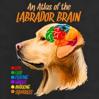 Atlas of The Labrador Retriever Brain Hat