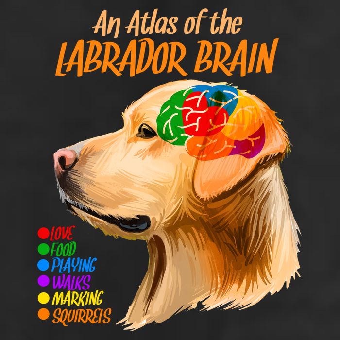 Atlas of The Labrador Retriever Brain Hat