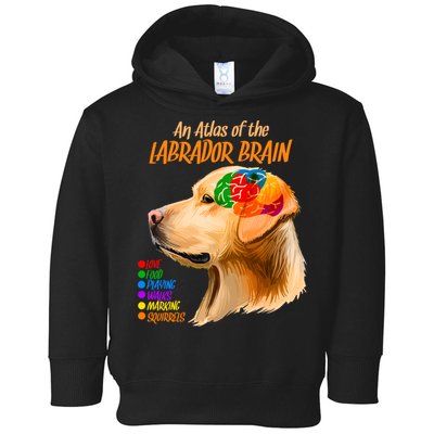 Atlas of The Labrador Retriever Brain Toddler Hoodie