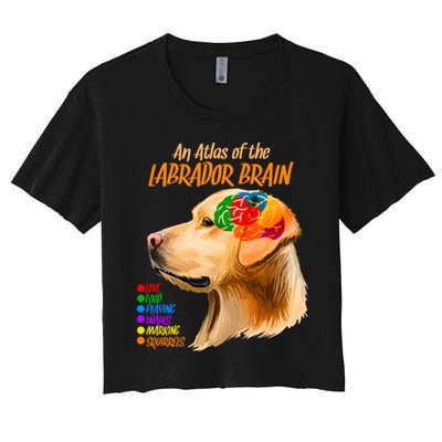Atlas of The Labrador Retriever Brain Crop Top