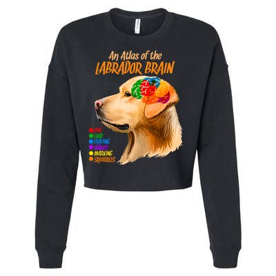 Atlas of The Labrador Retriever Brain Cropped Pullover Crew