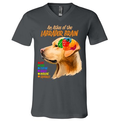 Atlas of The Labrador Retriever Brain V-Neck T-Shirt