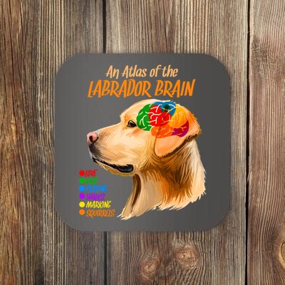Atlas of The Labrador Retriever Brain Coaster