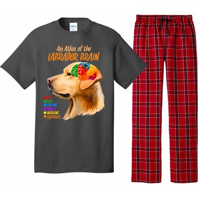 Atlas of The Labrador Retriever Brain Pajama Set