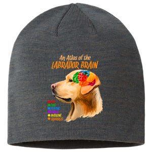 Atlas of The Labrador Retriever Brain Sustainable Beanie