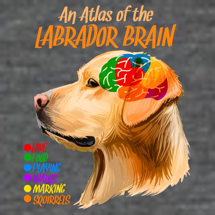 Atlas of The Labrador Retriever Brain Mousepad