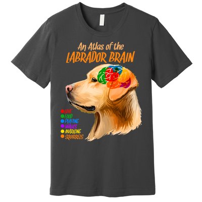 Atlas of The Labrador Retriever Brain Premium T-Shirt