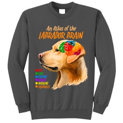 Atlas of The Labrador Retriever Brain Tall Sweatshirt