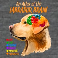 Atlas of The Labrador Retriever Brain Baby Bodysuit